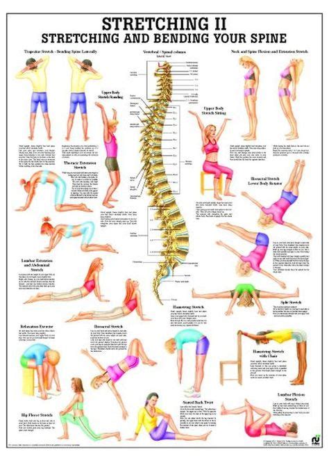 Pilates Basic 10 Laminated Fitness Poster In 2020 With Images