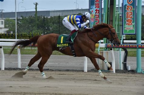 船橋競馬 第2回開催〔5月3日（祝月）～7日（金）〕「第33回かしわ記念（jpnⅠ）」〔5月5日（祝水）〕｜千葉県競馬組合のプレスリリース