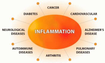 Inflammation: The Sand Castle Analogy – Revive Chiropractic – THE ...