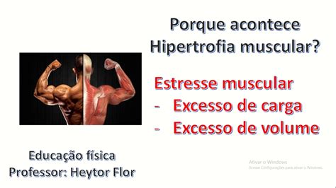 Videoaula Hipertrofia Muscular Youtube