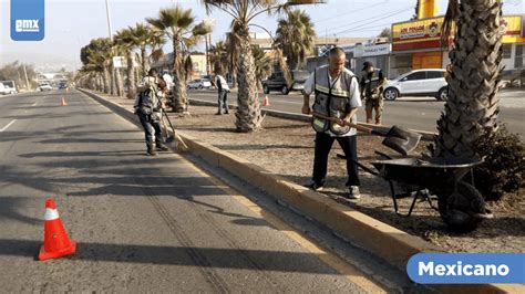 Avanza Rehabilitaci N De Camellones En El Sauzal El Mexicano