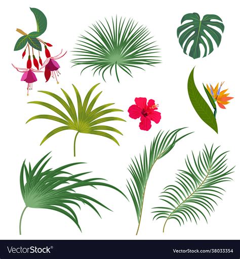 Tropical Palm Leaves Jungle Flowers Botanical Vector Image