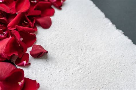 Cornice Di Petali Di Rosa Rossa Con Posto Per Il Testo Superficie