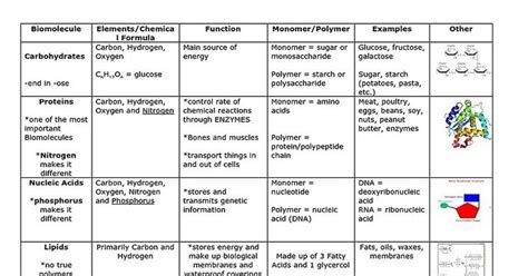 Macromolecules Chart Functions Examples Macro Pictures Basketball