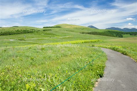 夏の霧ヶ峰高原 写真素材 7107592 フォトライブラリー Photolibrary