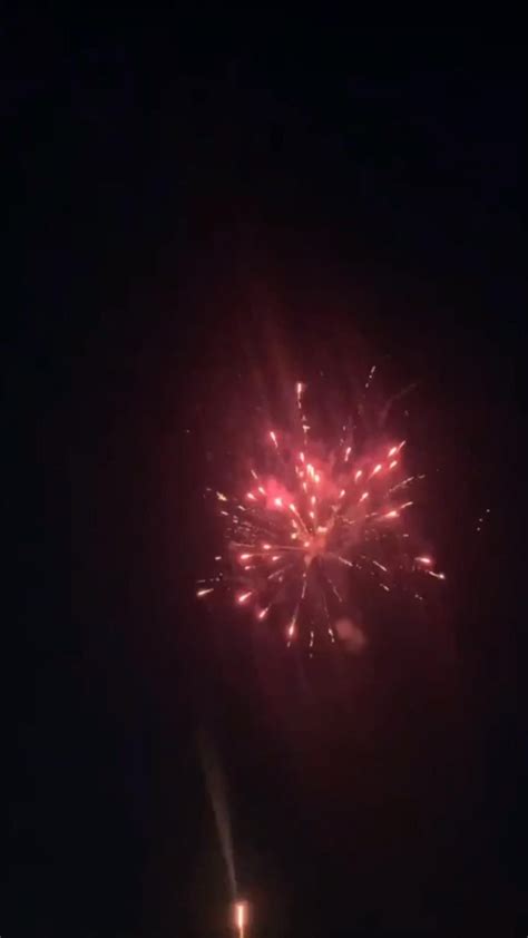 Fireworks Firework Video Fireworks  Gender Reveal Fireworks Firework Cake Firework Cupcakes