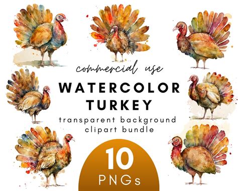 Watercolor Thanksgiving Turkey Clipart 10 Transparent Background PNG ...