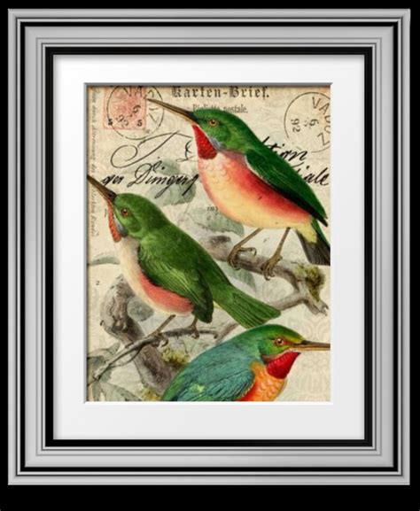 Victorian Postcard Artwork Victorian Bird Print Wall Art Etsy