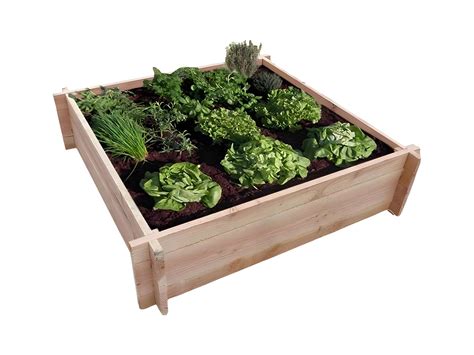 Carr Potager En Bois De Douglas Cihb Jardini Re Sur Pieds Pour