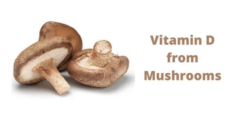 A Guide to Getting Vegan Vitamin D from Medicinal Mushrooms