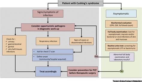 The Immune System In Cushing’s Syndrome Trends In Endocrinology And Metabolism