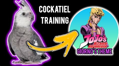 Cockatiel Singing Giorno S Theme Il Vento D Oro Jojo S Bizarre