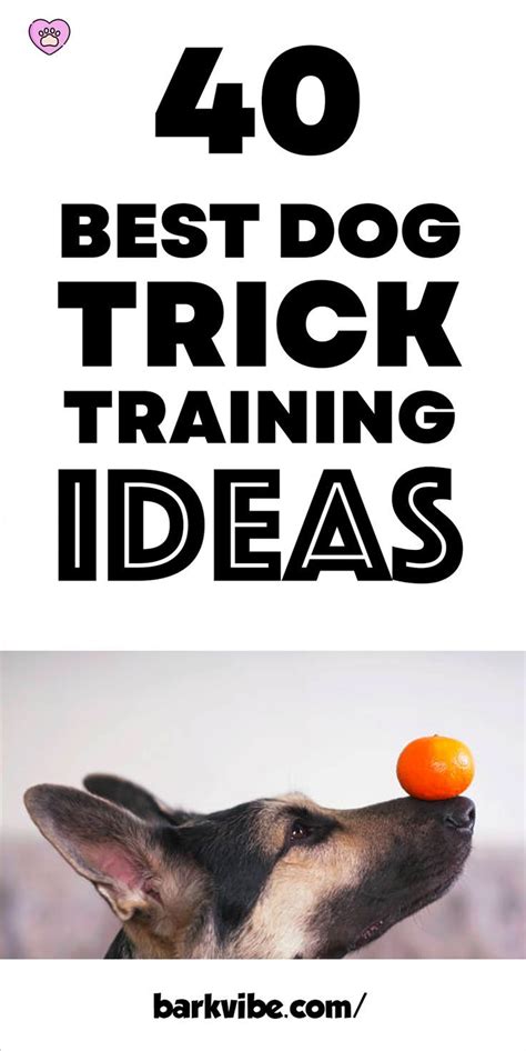 40 Dog Trick Training Ideas to Teach Your Dog Dog Training Treats, Dog Training Tips, Dog Tricks ...