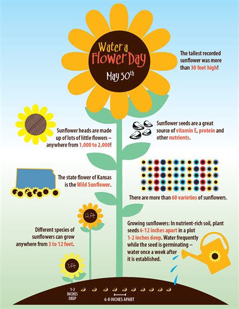 Spring Facts For Kindergarten