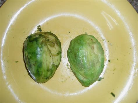 Tim's Food Fantasy: The enzymatic browning of my Avocado.