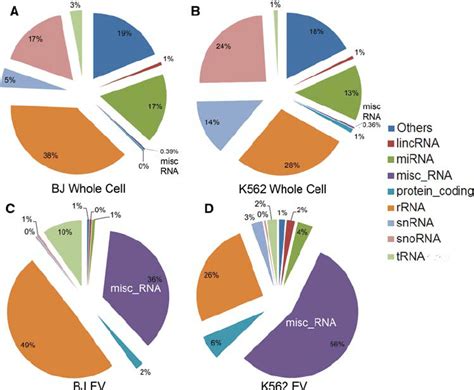 Pie Charts Representing The Relative Abundance Of Families Of Rna