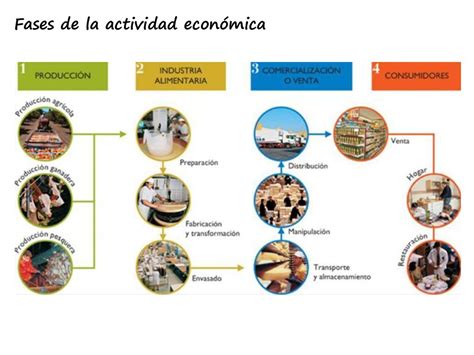 Qué Es La Actividad Económica Ppt Descargar