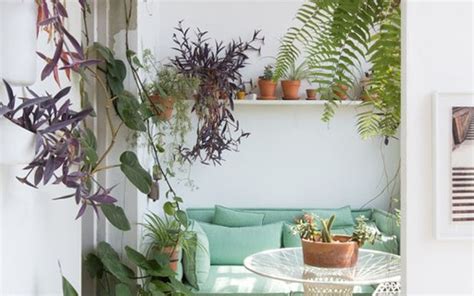 Rvores E Plantas Grandes Para Ter Dentro De Casa Casa Vogue