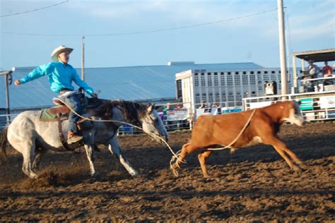 Ringgold County Fair Rodeo - Werner Family Angus