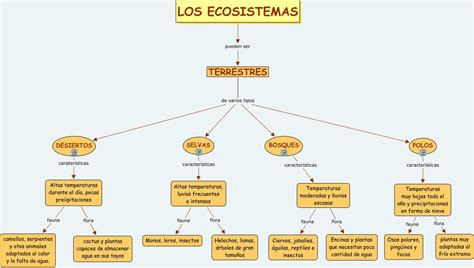 Ecosistema Terrestre Mapa Conceptual Ypi The Best Porn Website