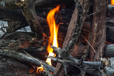 Burning Wood on Fire Pit · Free Stock Photo