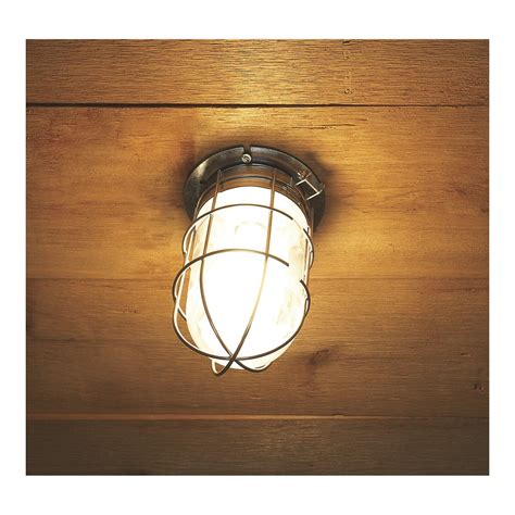 Canarm Ceilingwall Outdoorindoor Barn Light With Cage Csin1096 Ebay