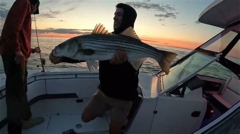 Giant Weakfish Stripers And Porgies Peconic Bay Ny Youtube