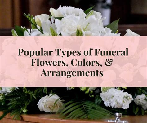 Popular Types of Funeral Flowers, Colors, & Arrangements - SnapBlooms Blogs