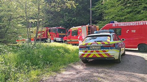 Zemmer Hilferufe Im Wald Wanderin Alarmiert Polizei Suche Endet