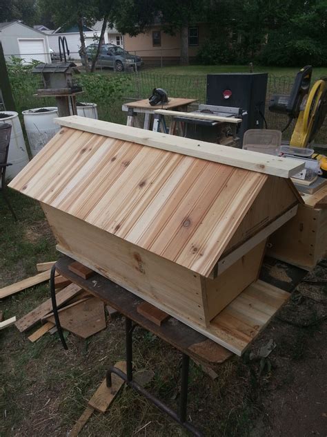 I Have Always Been Fascinated With Honey Bees So I Decided To Build A