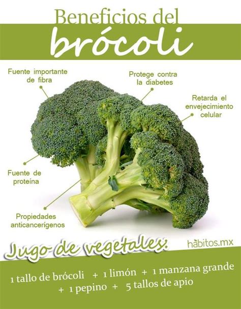 Brócoli Beneficios Escarola alimentos orgánicos a domicilio