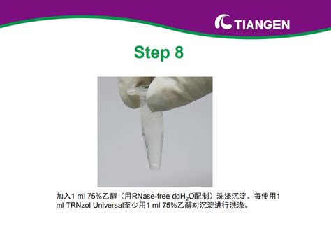 Trnzol Universal 总 Rna 提取试剂操作指南（dp424）——动物组织 丁香实验