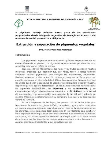 PDF Extracción y separación de pigmentos vegetales Los pigmentos se