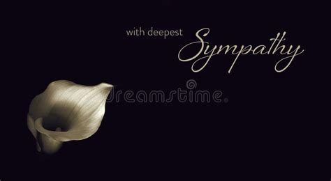 Sympathy Card With Calla Lily Flower Stock Photo Image Of Close Deep