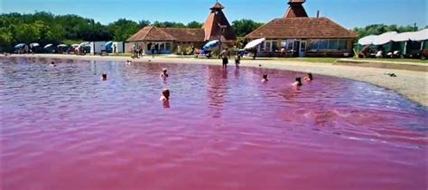 Roze Jezero U Srbiji Edukacija