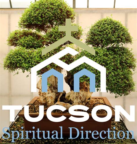 The Profound Spiritual Meaning Of Bonsai Trees Explained Unlocking The