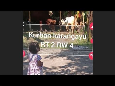 Kurban Karangayu RT 2 RW 4 YouTube