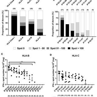 Distribution Of Cytomegalovirus Cmv Pp Specific Cd T Cells