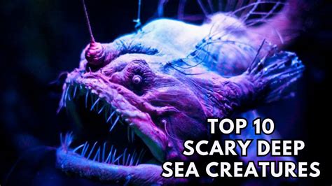 Top 10 Scary Deep Sea Creatures You Wont Believe Exist Youtube