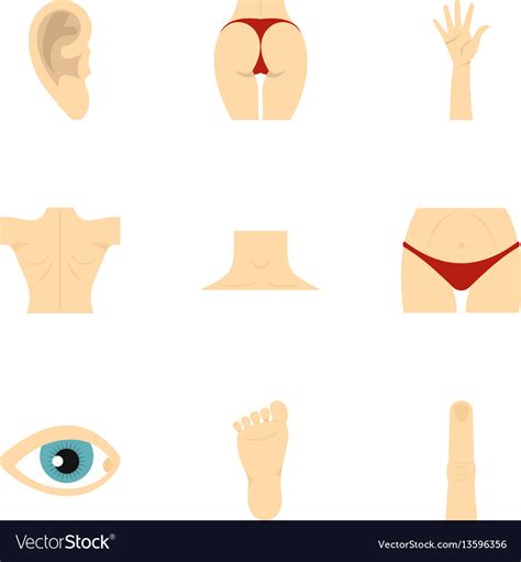 Human Body Parts Icons Set Flat Style Royalty Free Vector