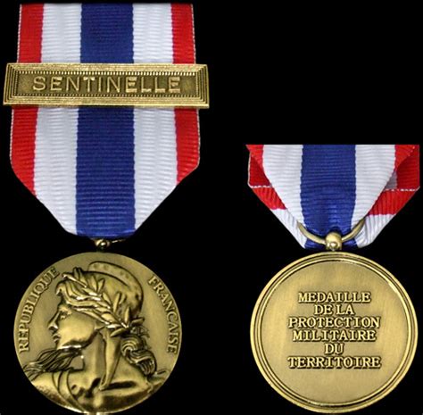 M Daille De La Protection Militaire Du Territoire Insigne