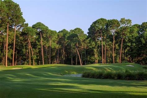 Bear Creek Golf Club Hilton Head Island Sc The Course