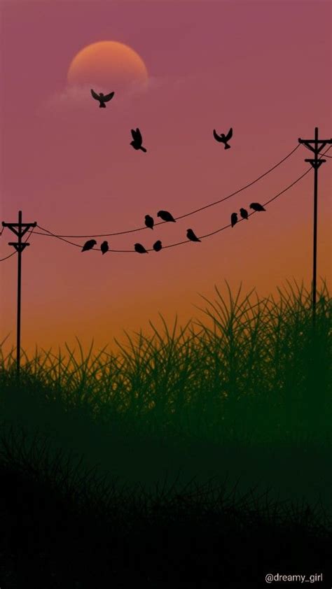 Sunset & birds wallpaper | Digital illustration en 2024 | Atardeceres ...