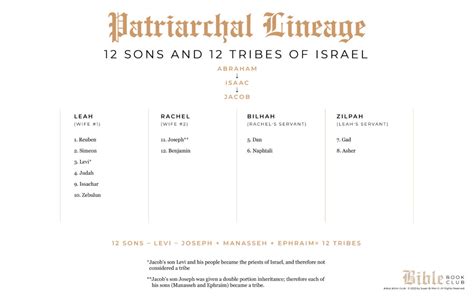 Patriarchal Lineage:12 Sons and 12 Tribes of Israel - Susan Merrill