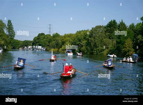 Swan Uppers Rowing Near Sunbury Lock Cut In Middlesex During The