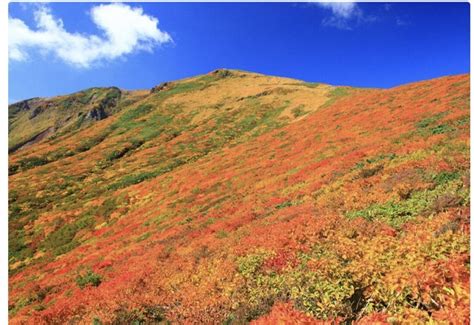 栗駒山秋服装 栗駒山紅葉見頃 栗駒山2023年紅葉 神の絨毯見頃いつ Mousou Wifes Blog