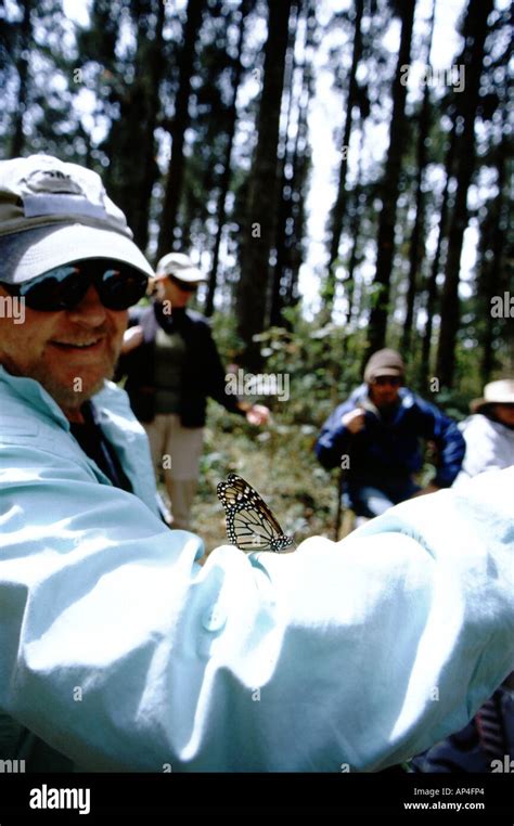 México Michoacán Sierra Chincua Santuario de la Mariposa Monarca