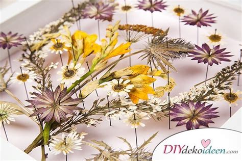 S E Diy Bastelideen Mit Gepressten Blumen Zum Nachmachen