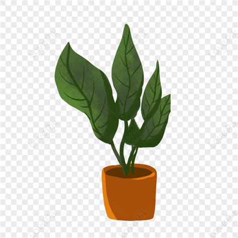 Cartoon Potted Plant Leaves Picture Plant Vector Plant Pot Green