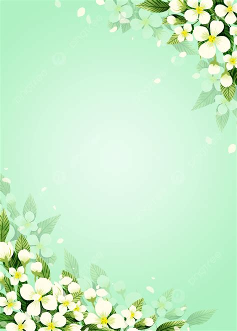 White Background Flower Images | Best Flower Site